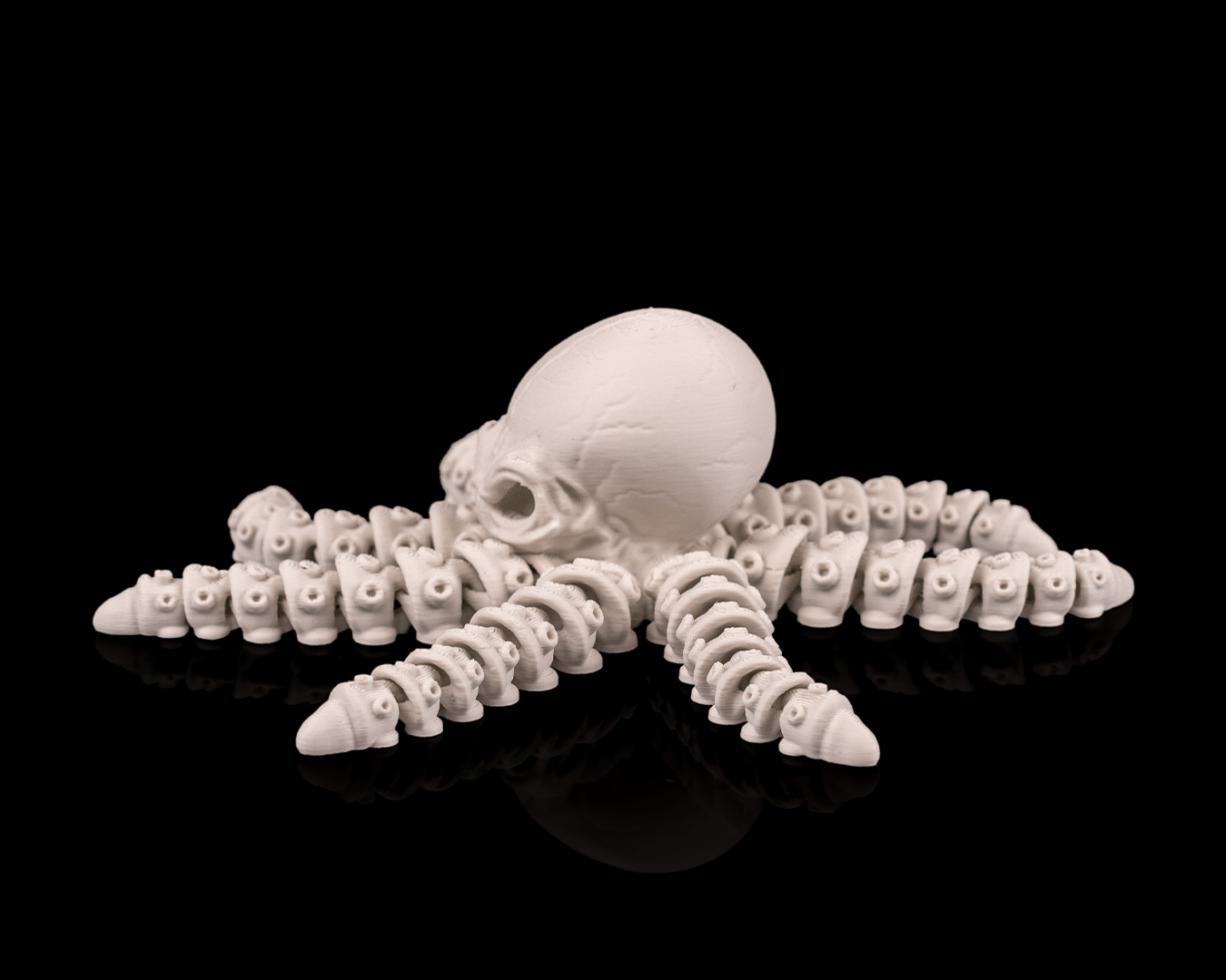 Skeleton Pulpo