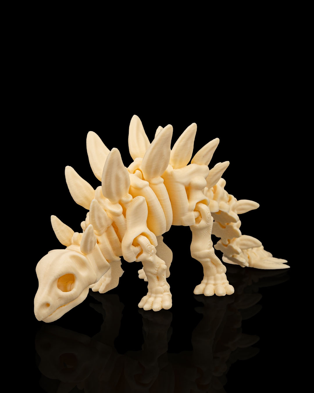 Skeleton Estegosaurio