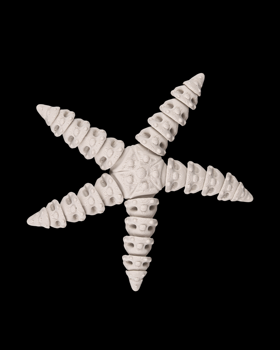 Skeleton Estrella 