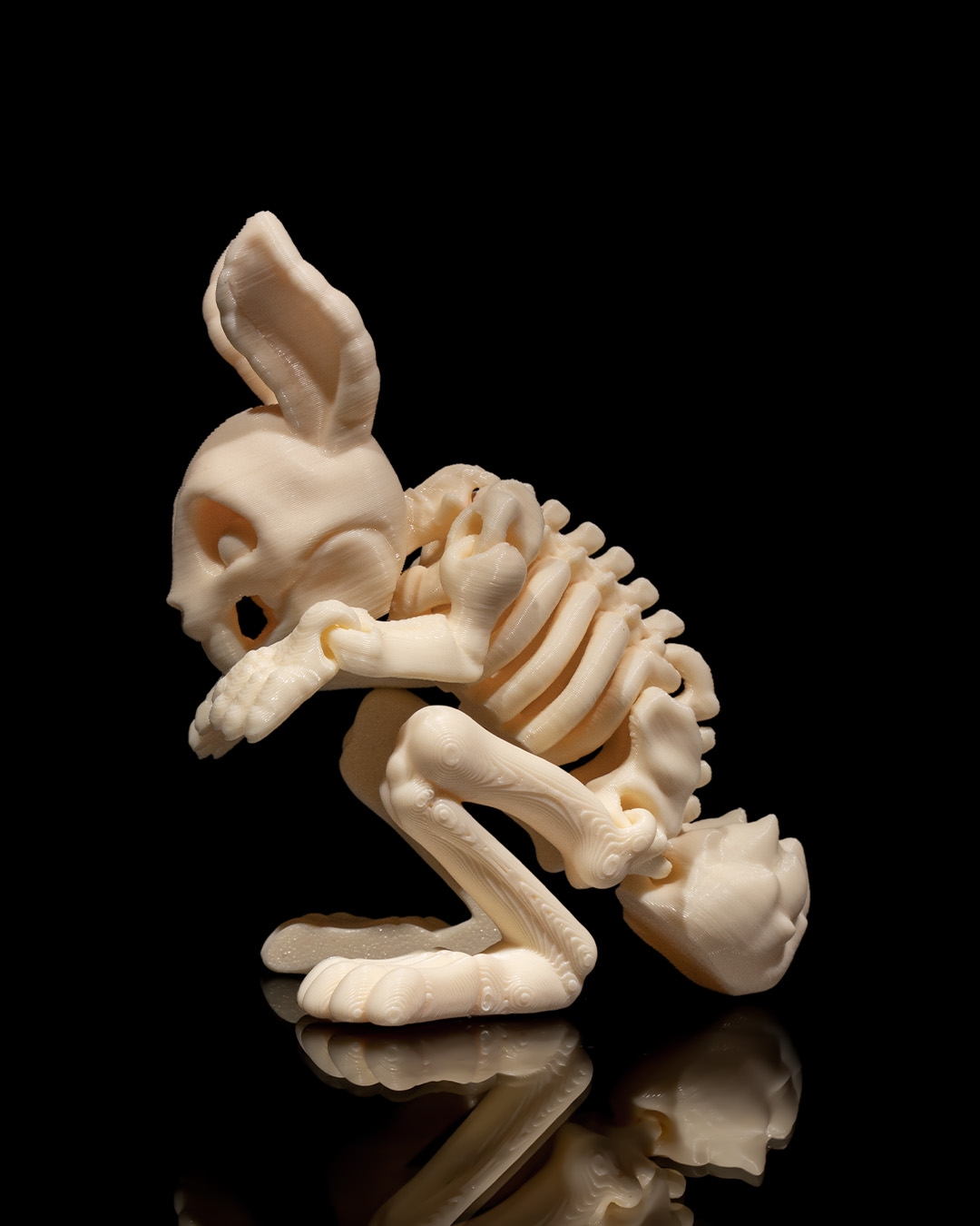 Skeleton Conejo 