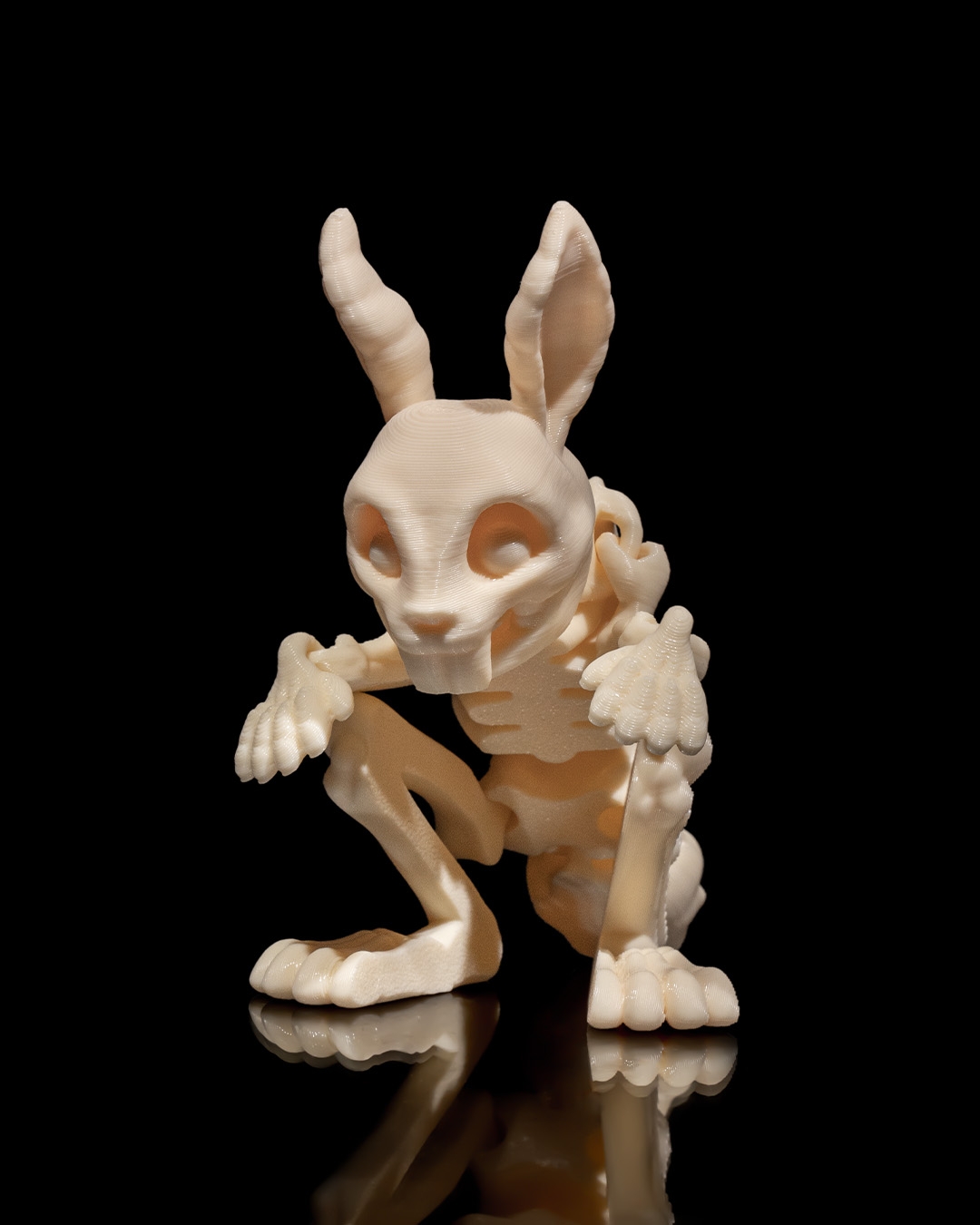 Skeleton Conejo 