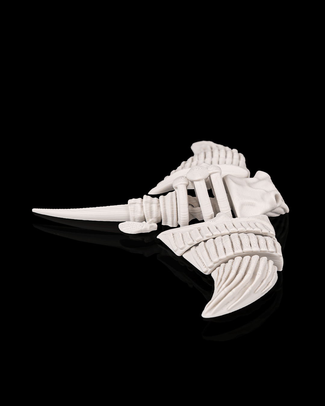 Skeleton Mantaraya