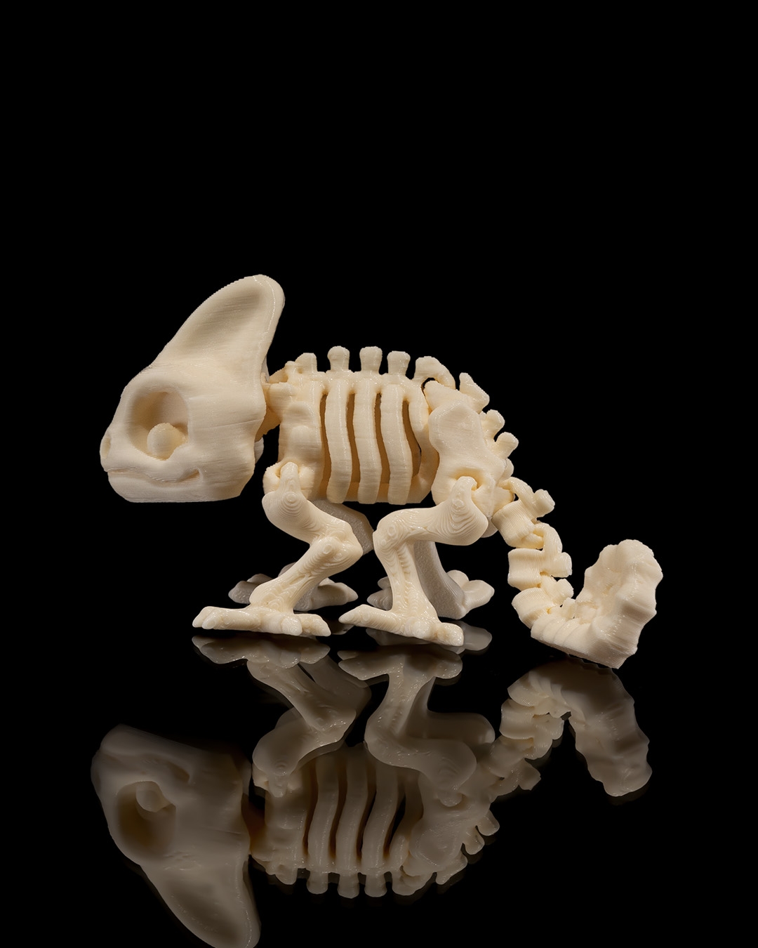 Skeleton Camaleón 