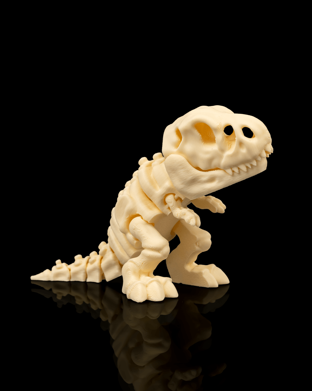 Skeleton T- Rex 