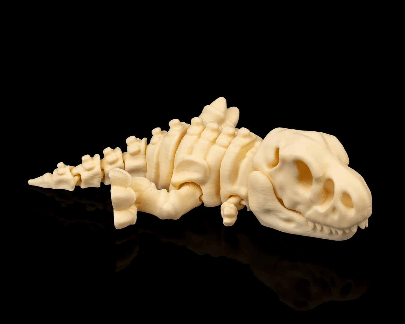 Skeleton T- Rex 
