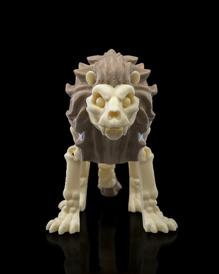 Skeleton León