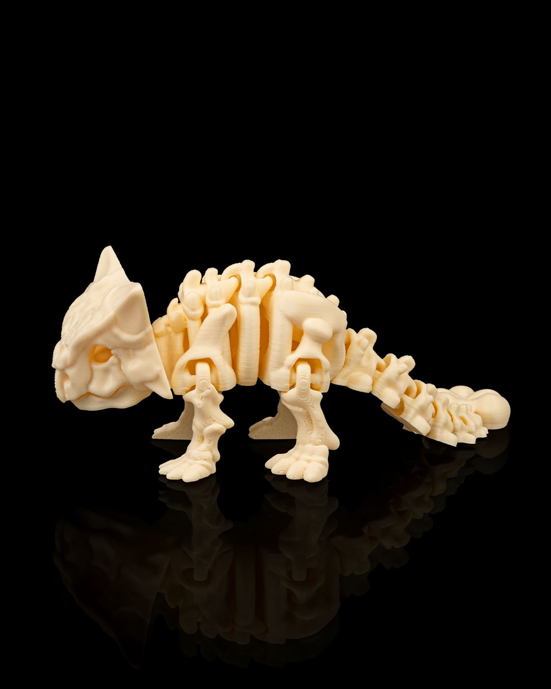 Skeleton Anquilosaurio