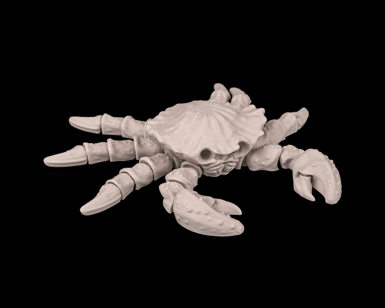 Skeleton Cangrejo 