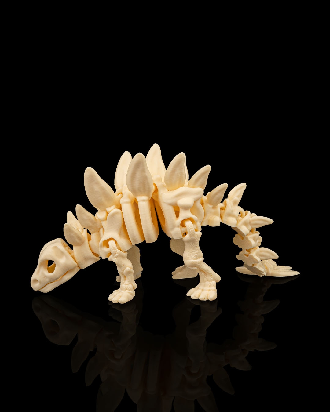 Skeleton Estegosaurio
