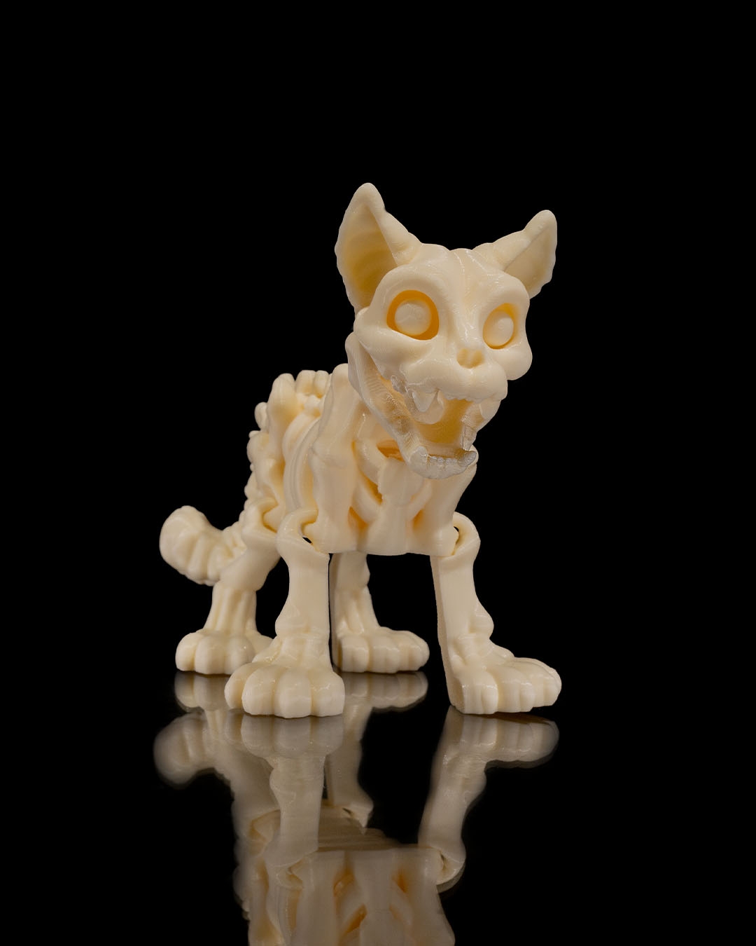 Skeleton Gato 