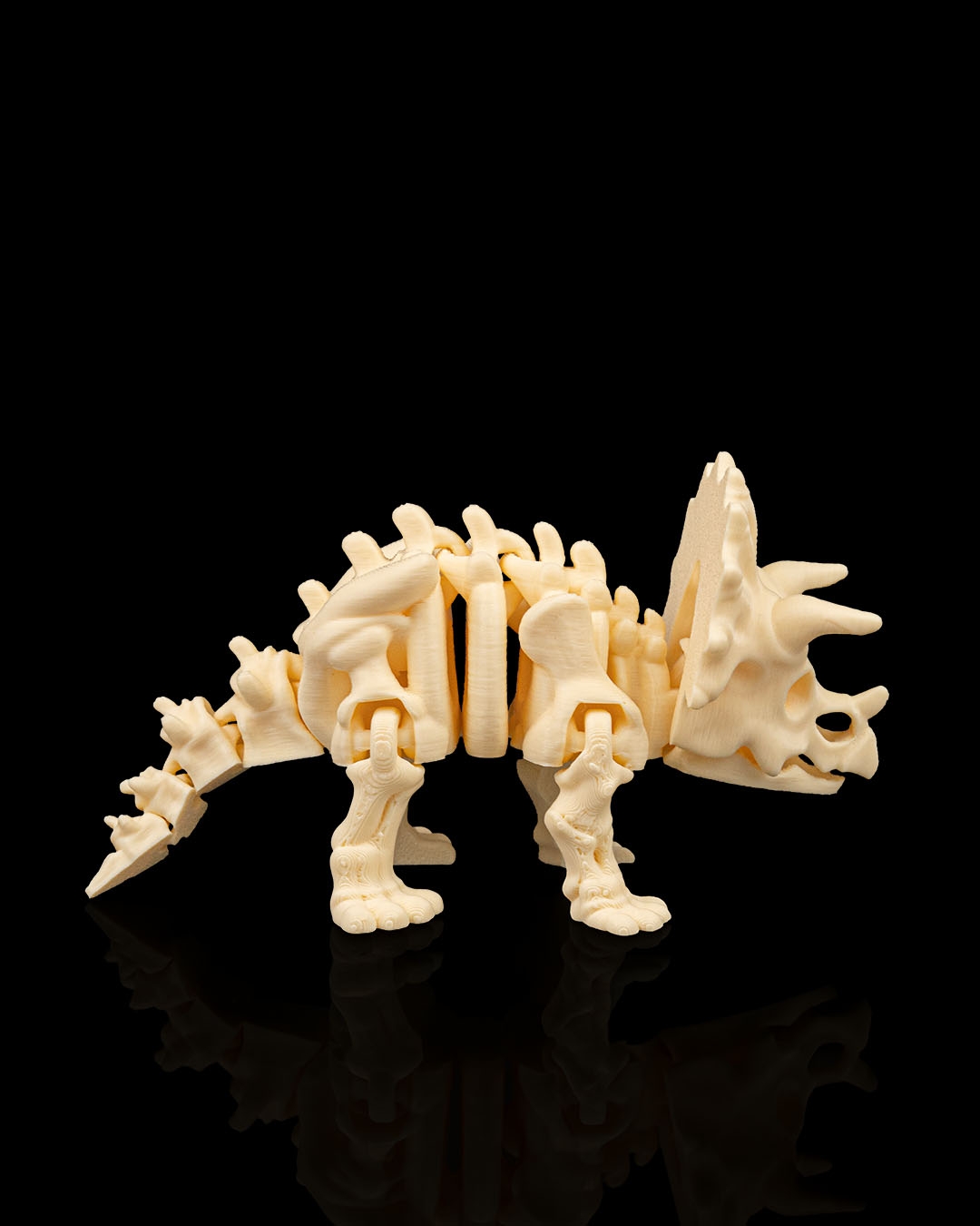 Skeleton Triceraptops 