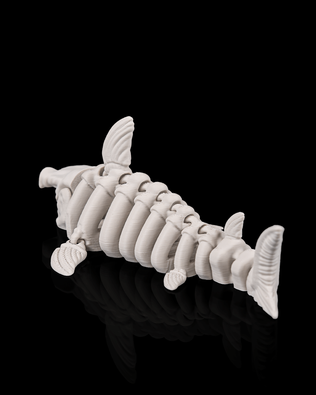 Skeleton Tiburón