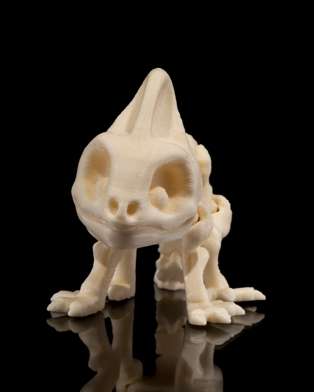 Skeleton Camaleón 