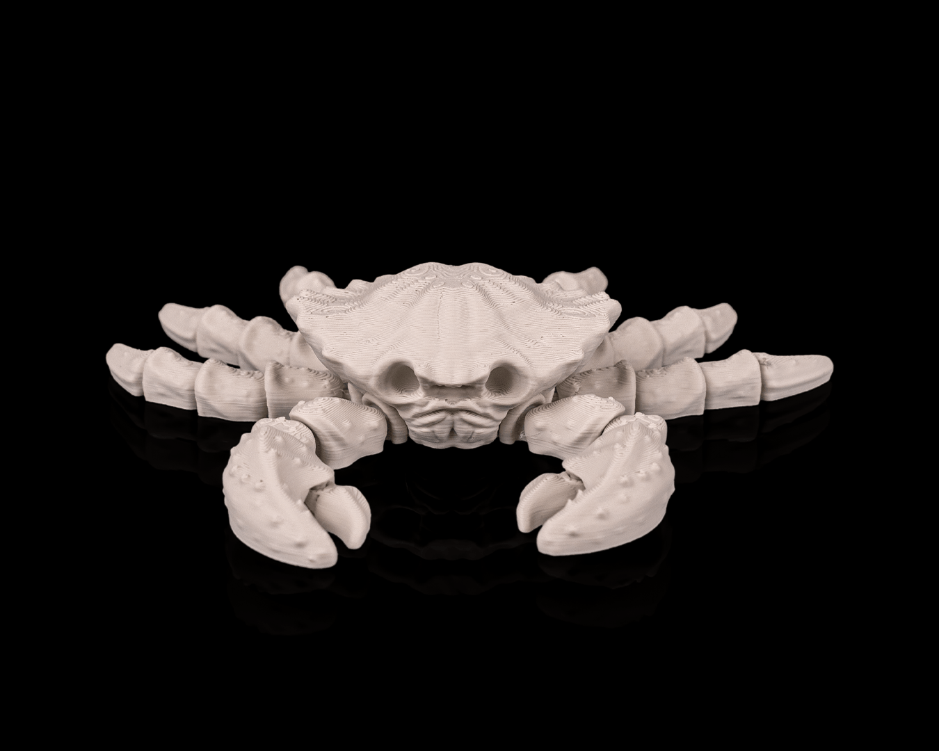 Skeleton Cangrejo 