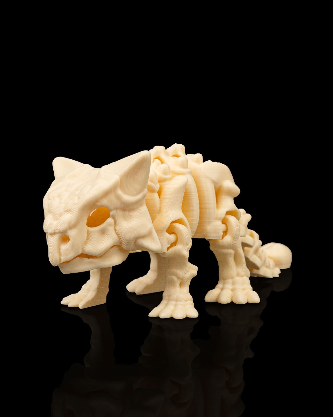 Skeleton Anquilosaurio