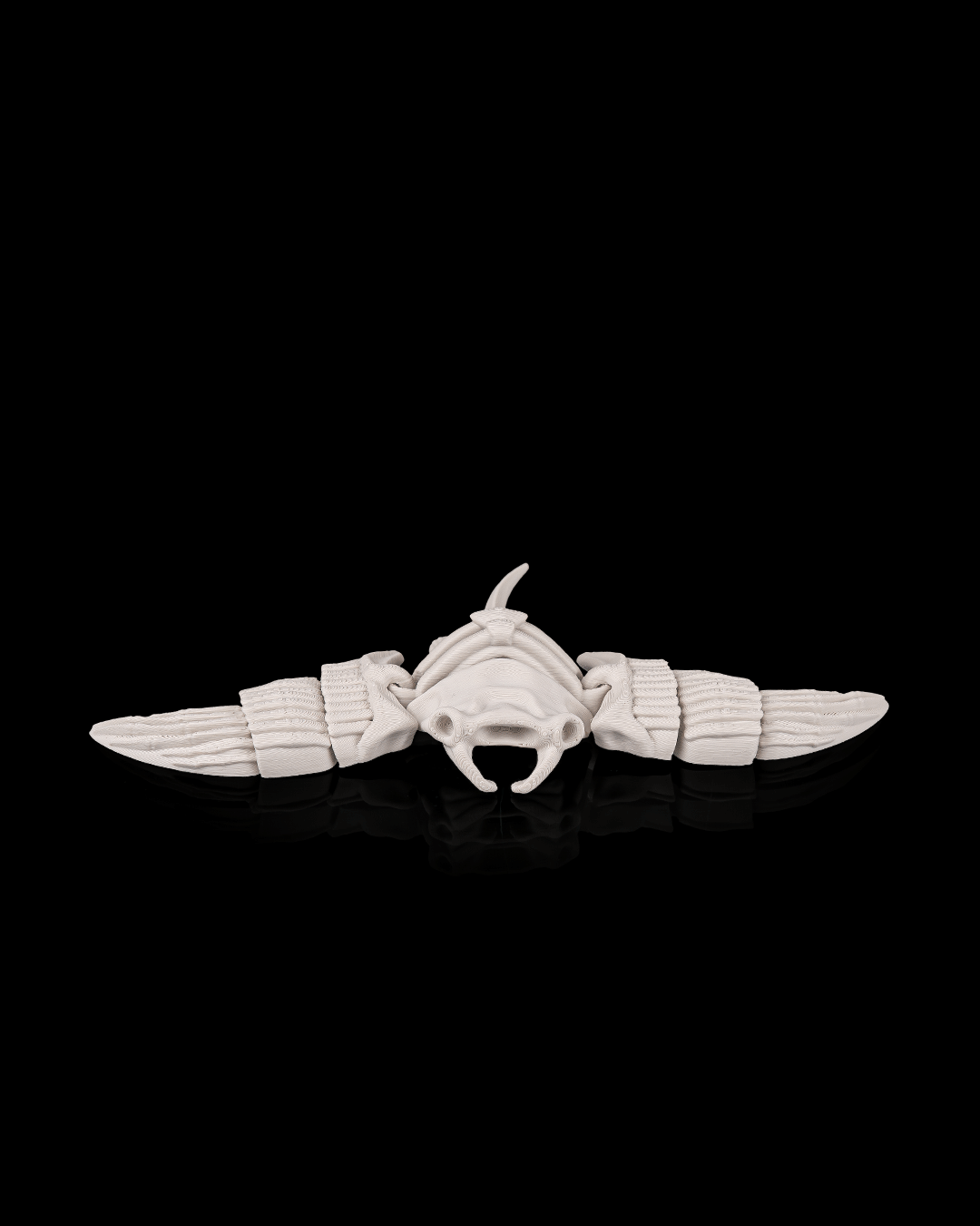 Skeleton Mantaraya