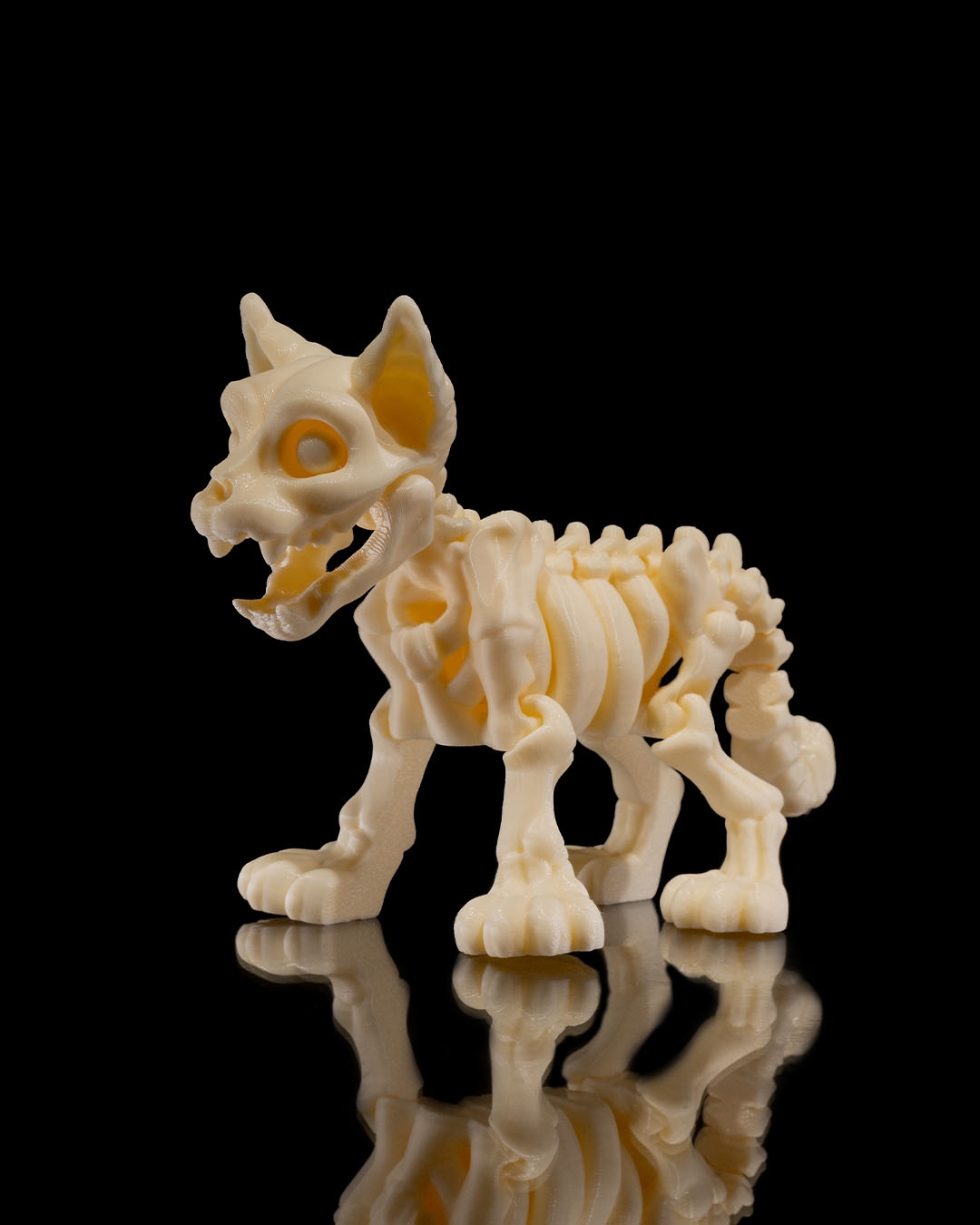 Skeleton Perro