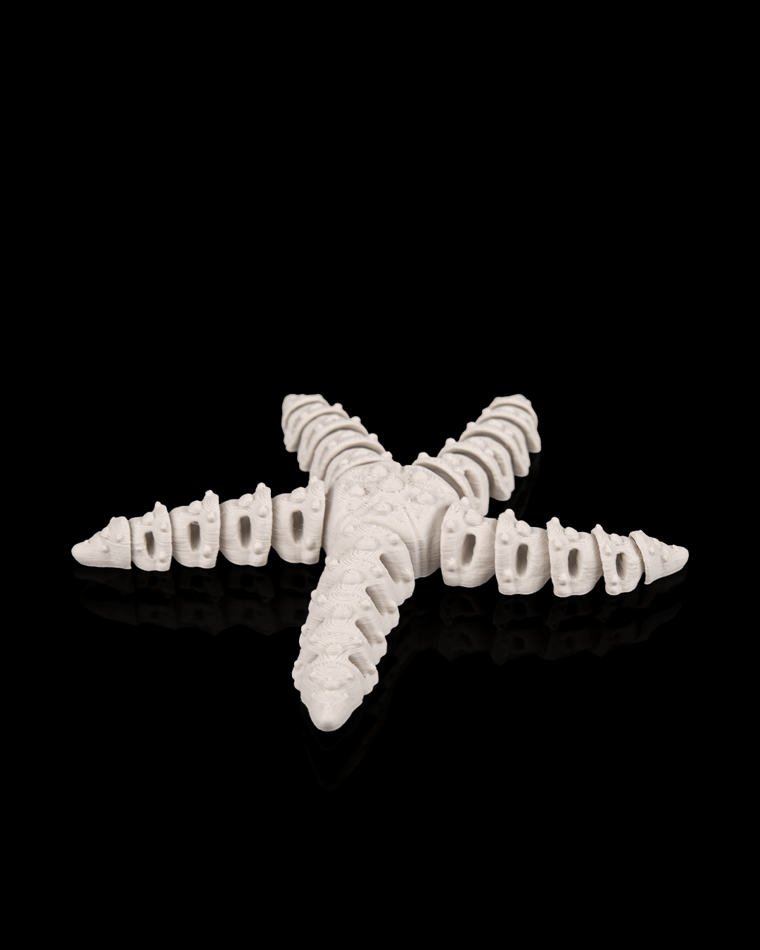 Skeleton Estrella 