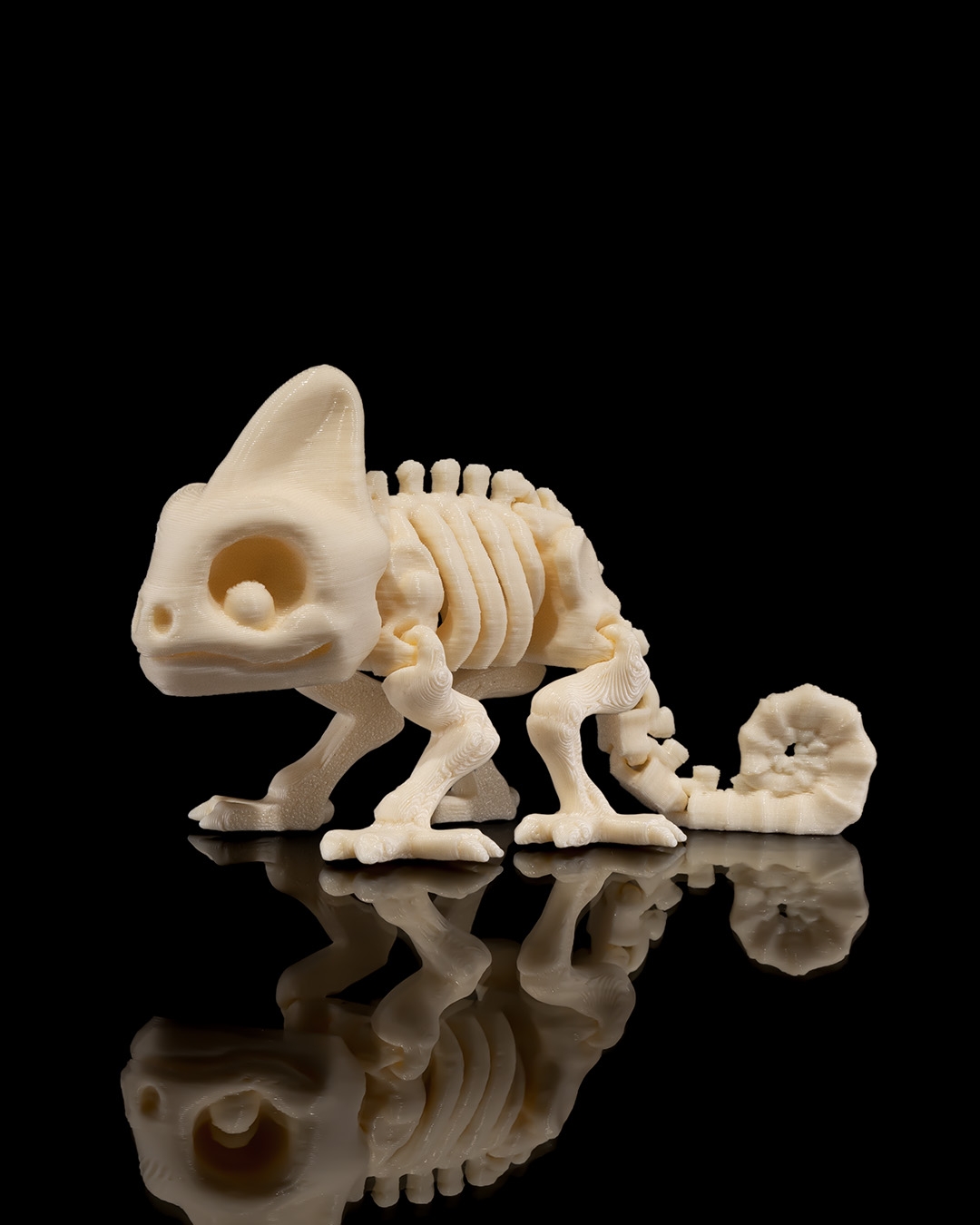 Skeleton Camaleón 