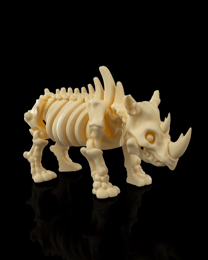 Skeleton Rinoceronte