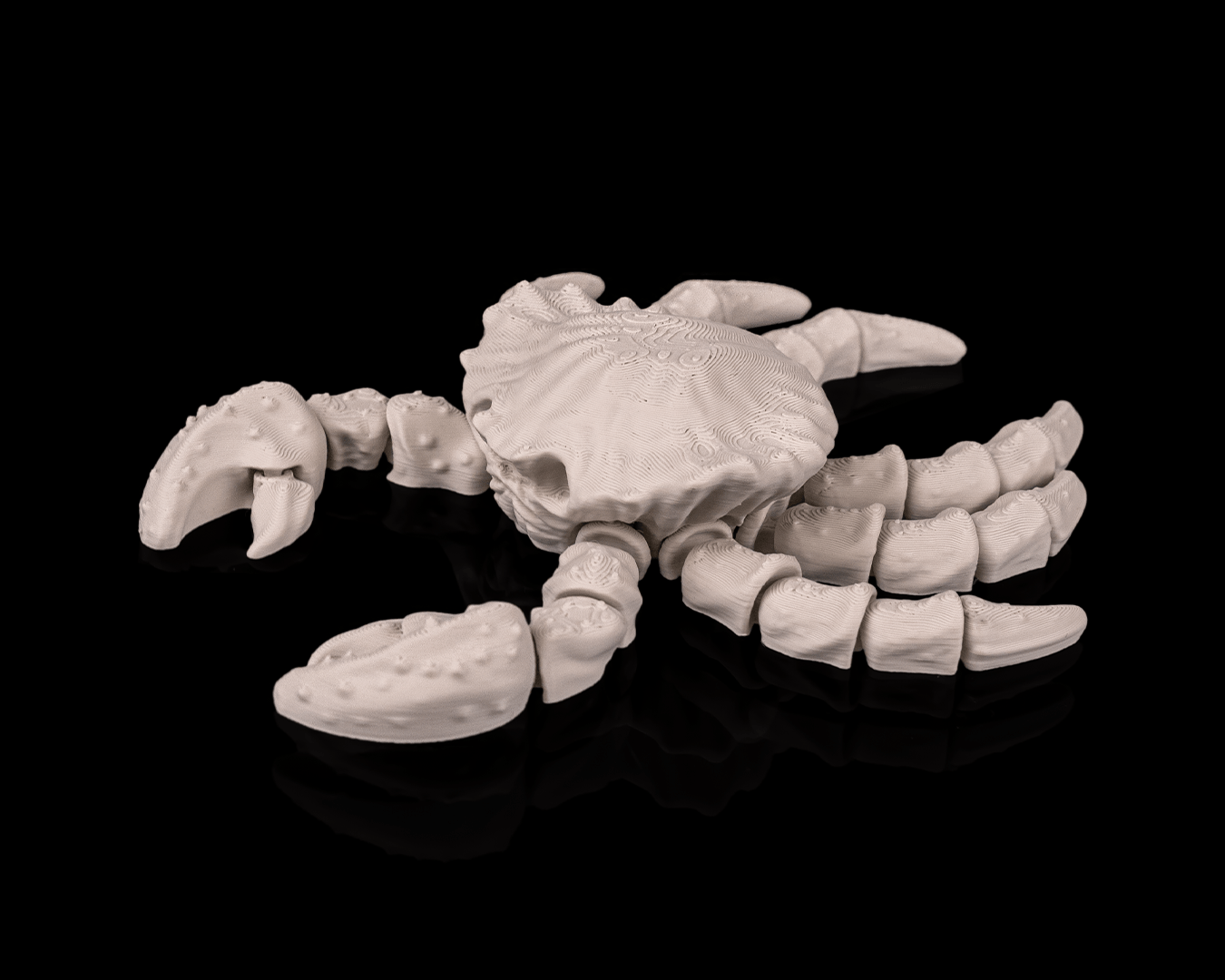 Skeleton Cangrejo 