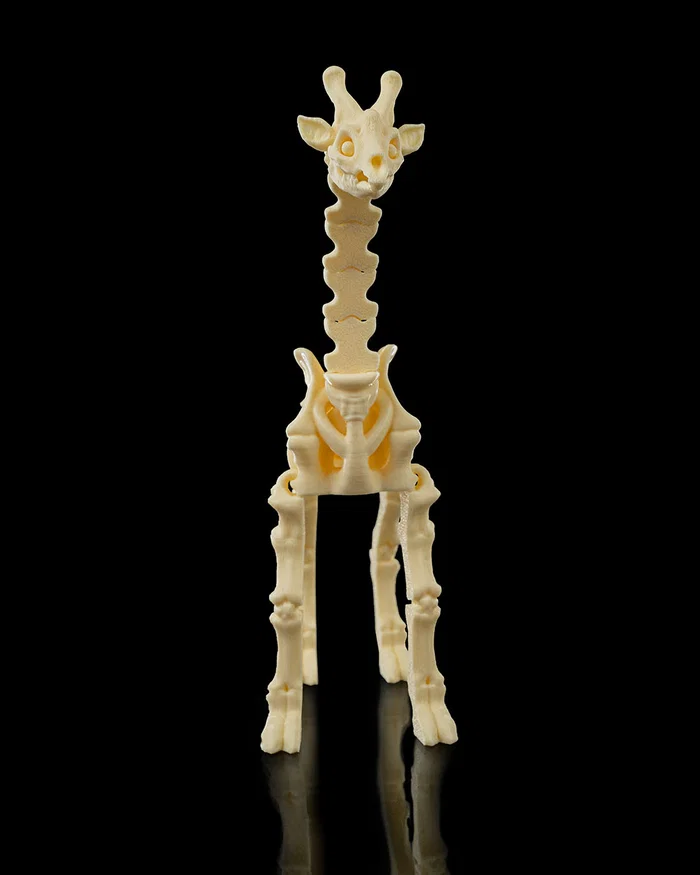 Skeletons: Expedición Sabana