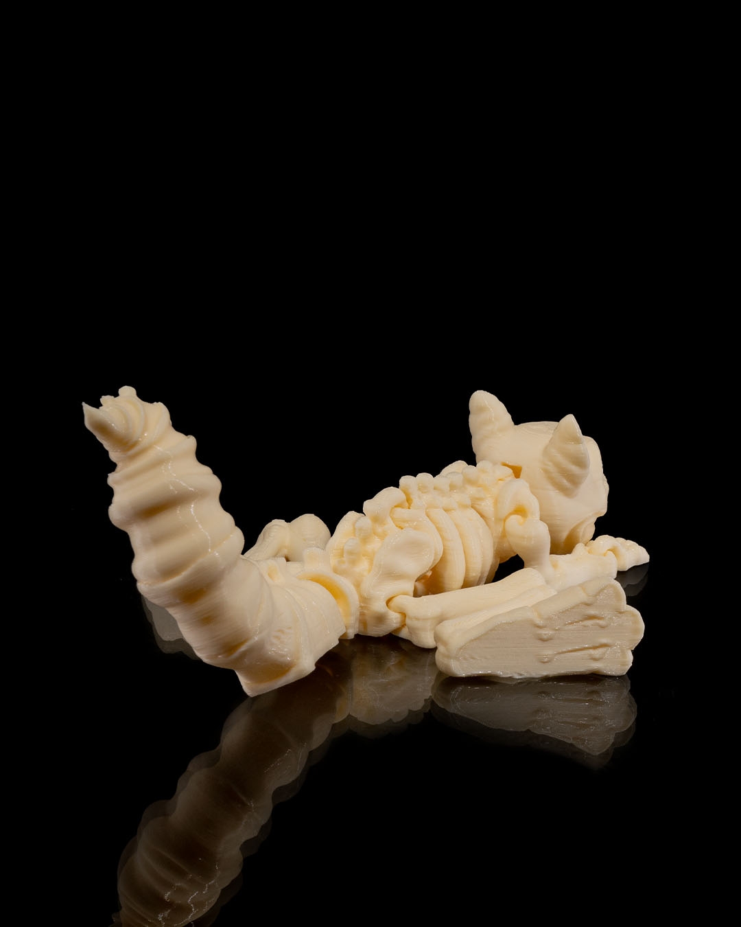 Skeleton Ardilla