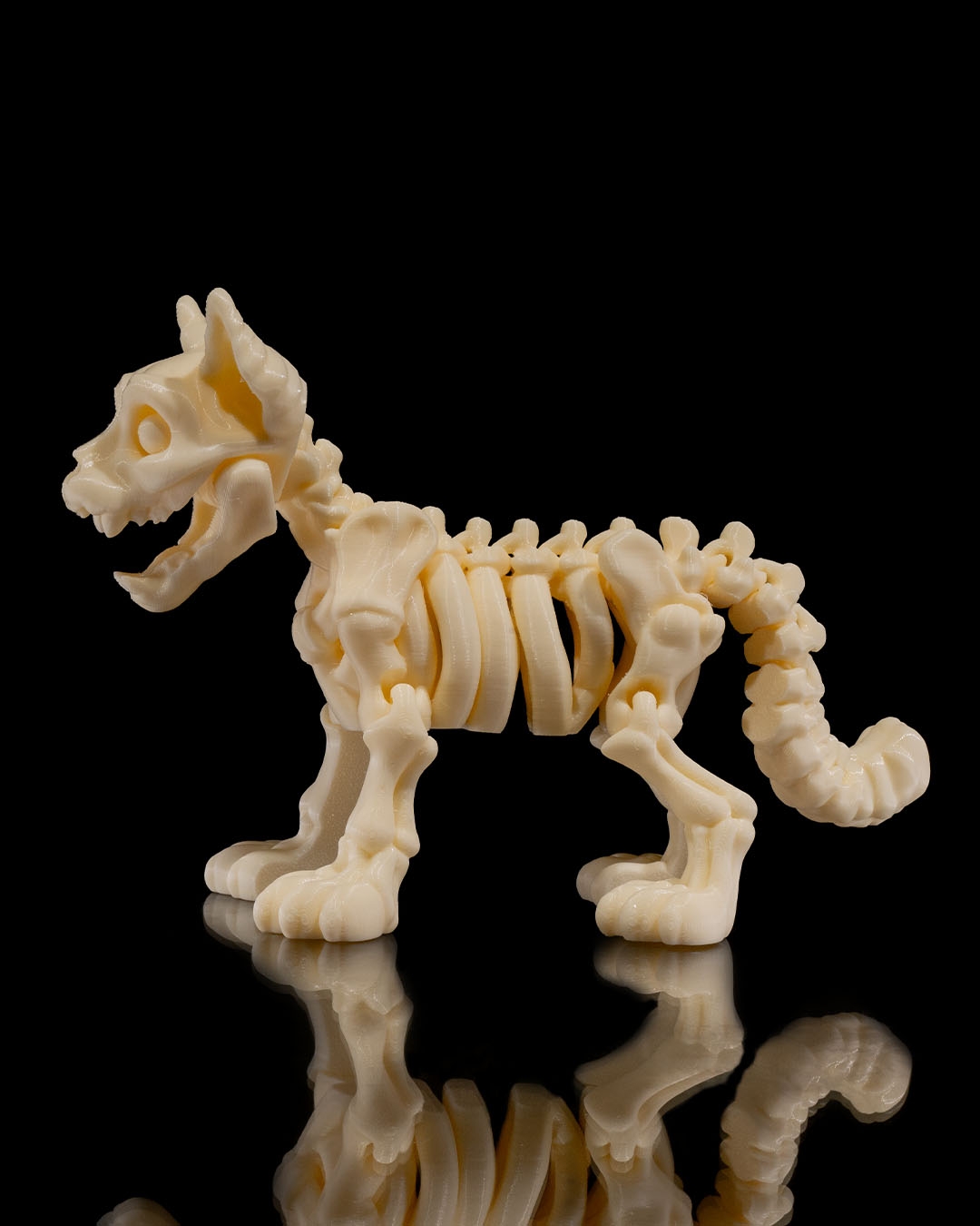 Skeleton Perro