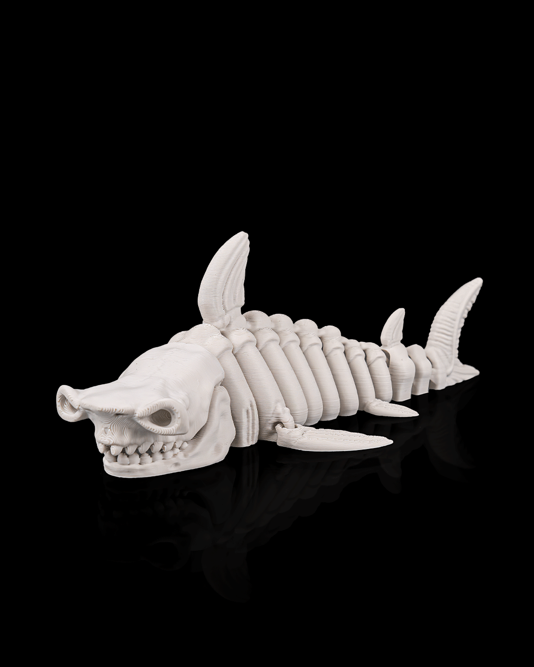 Skeleton Tiburón