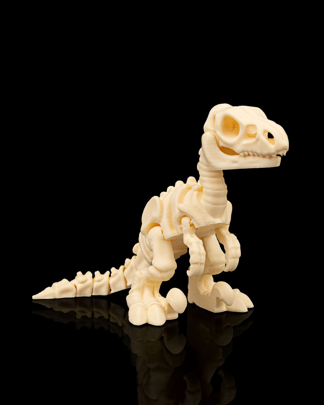 Skeletons: Expedición Jurásica