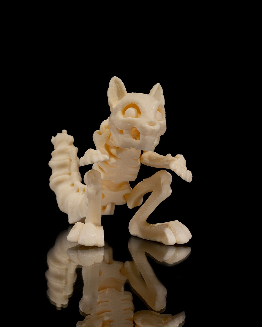 Skeleton Ardilla