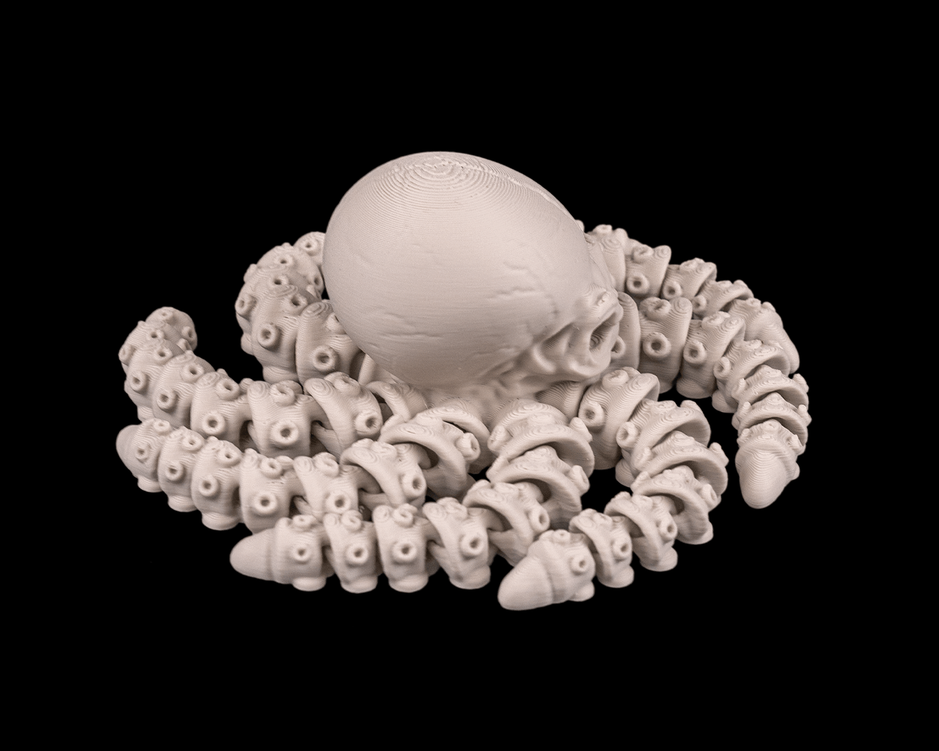 Skeleton Pulpo