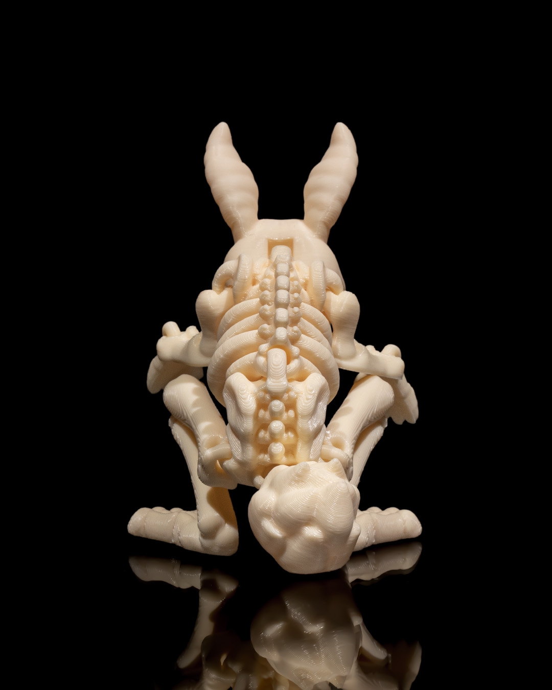 Skeleton Conejo 