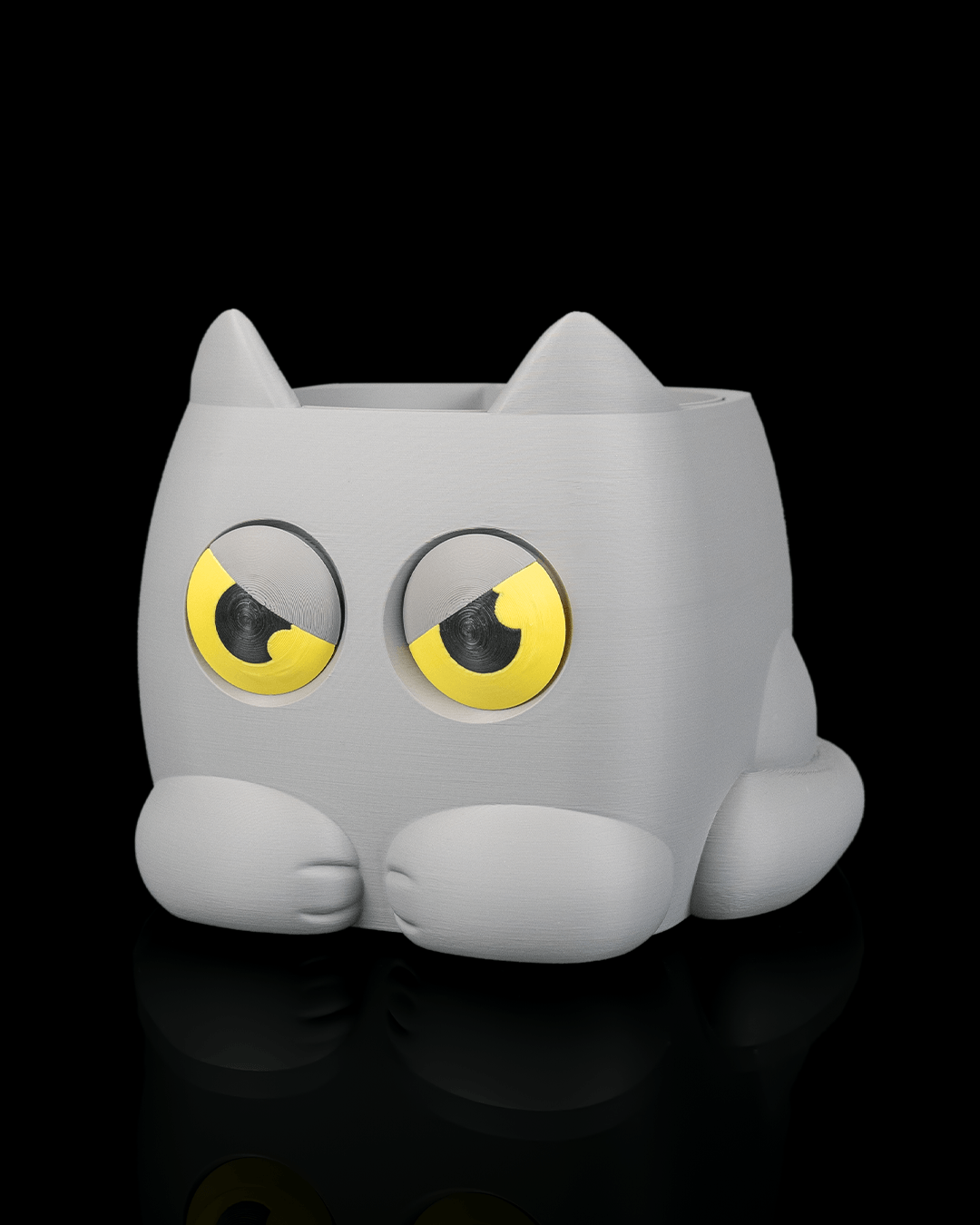 Grumpy Kitty