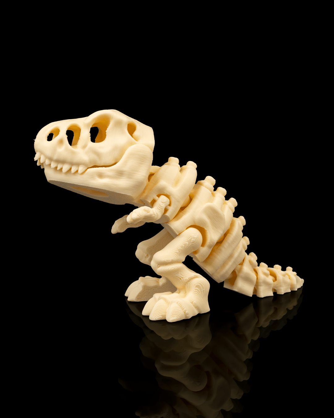 Skeleton T- Rex 