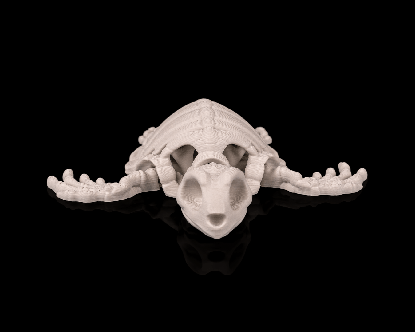 Skeleton Tortuga