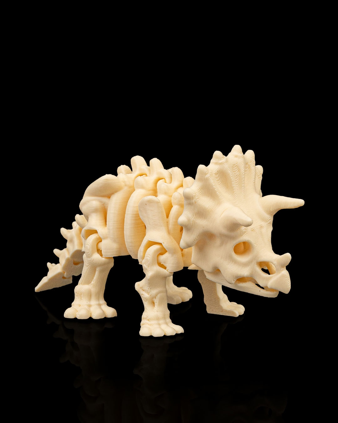 Skeleton Triceraptops 