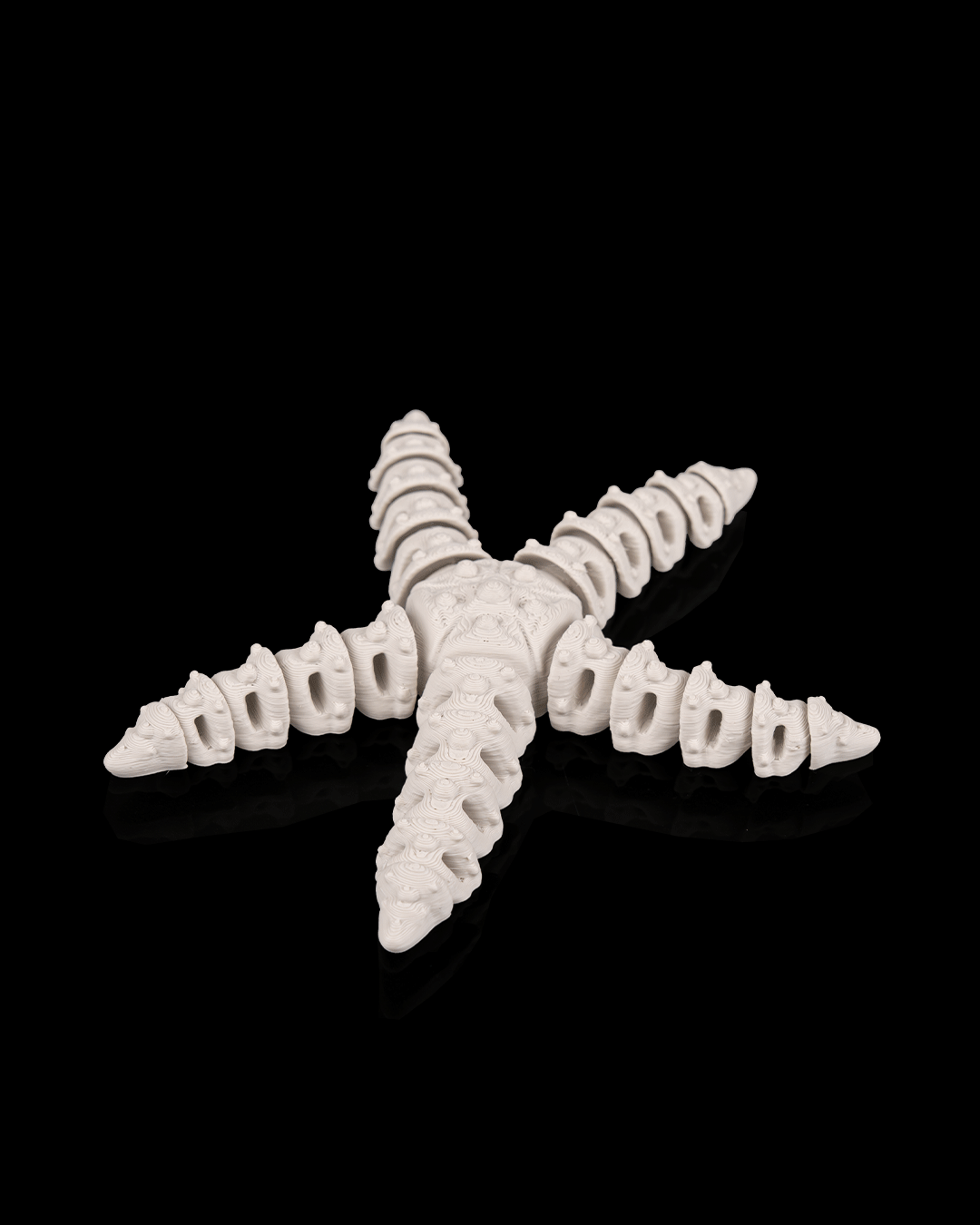 Skeleton Estrella 