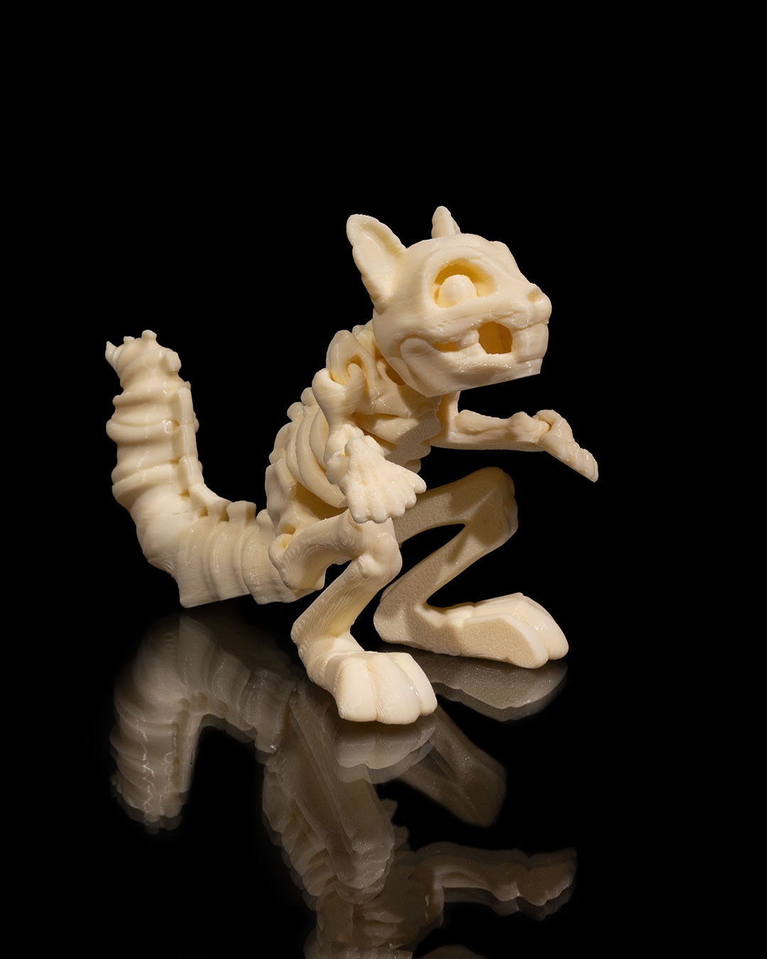 Skeleton Ardilla